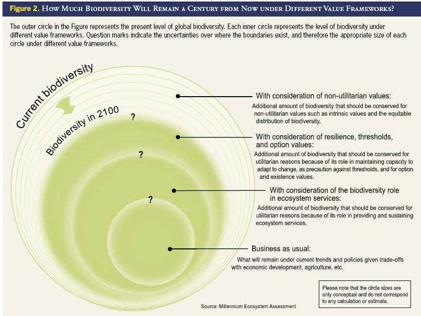  Option Value Biodiversity 8 Main Values Of Biodiversity 2019 01 30